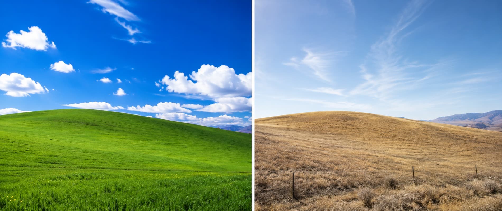 Paisagem do Windows XP perde o verde e surpreende três décadas depois